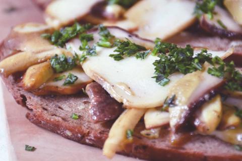 brot-mit-steinpilzen brot-mit-steinpilzen